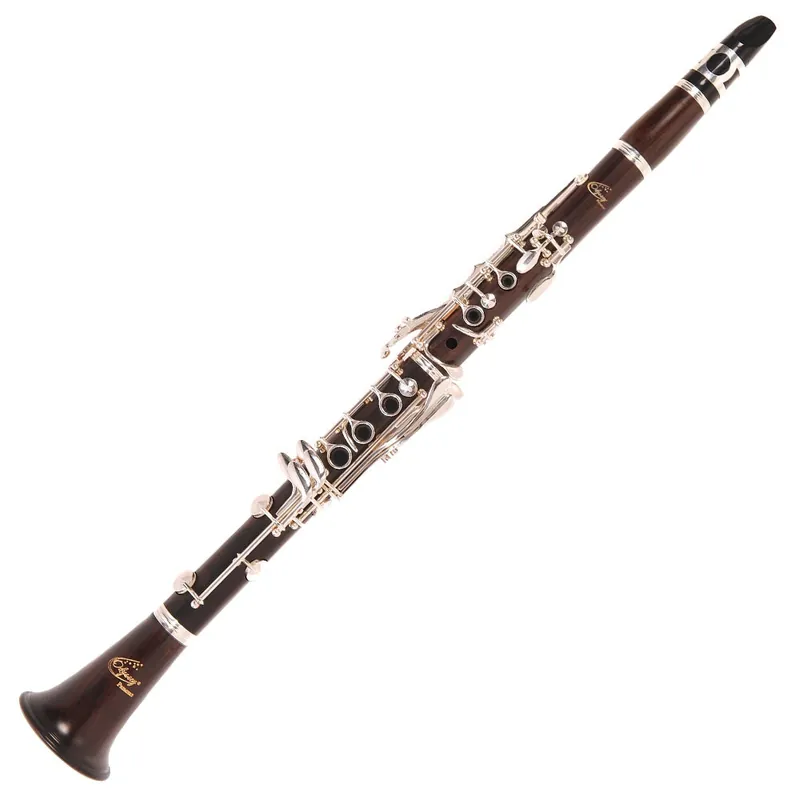 Odyssey Wind Instruments OCL500 Premiere Bb Clarinet with Ca Kampanj